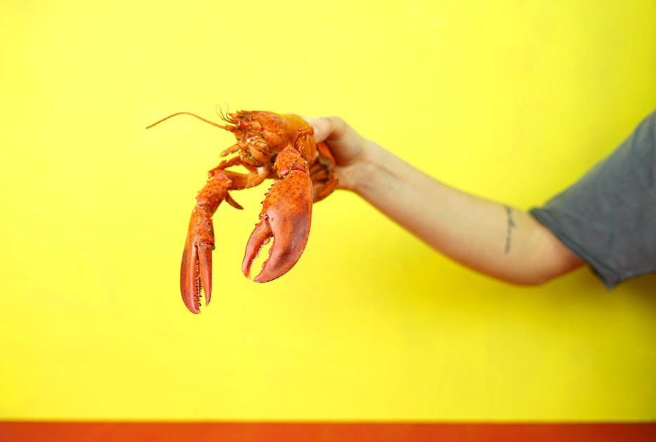 Contact Us for Seafood Solutions