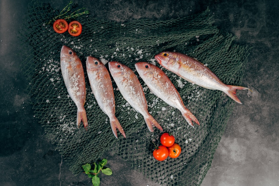 Visual Appeal: Seafood Imagery